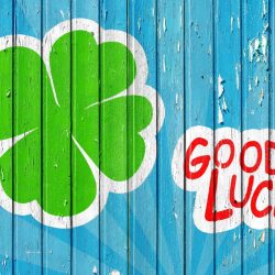 SEAG Transfer Test results day advice for parents in Northern Ireland