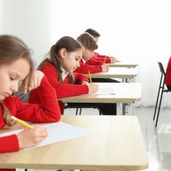 primary 6 pupil completing SEAG practice test