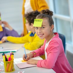 Child improving SEAG vocabulary and comprehension skills for the Transfer Test